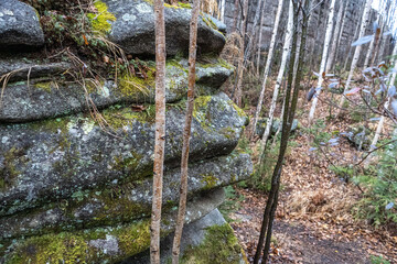 Anyu pillars . Beautiful rocky gray textured background with mosses and lichens. Surface mountain cliff close-up.