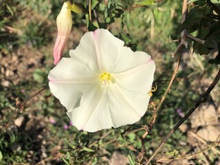 Santa Monica Mountains hike