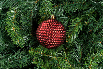 Red Christmas ball isolated on christmas tree branches