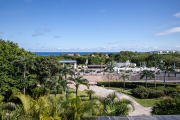 view of the park and the sea with palm trees