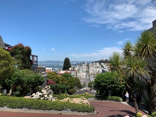 Fototapeta premium San Francisco Estados Unidos