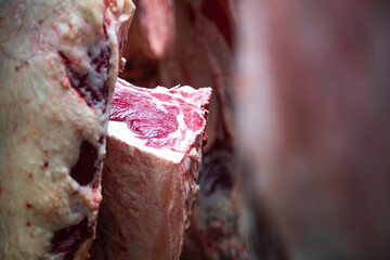 Meat Industry Hanging Cold Storage Japanese Wagyu beef is cut and hung on a hook in slaughterhouses.