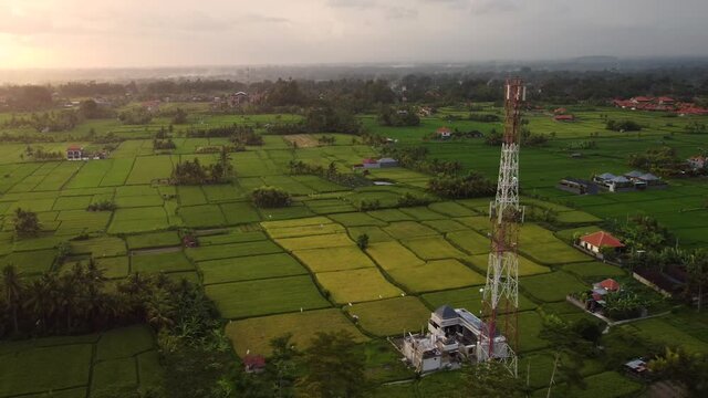 aerial drone view of 5g telecom tower antennas and satellite transmits the signals of cellular data internet connection on plowed green land rice field landscape during epic sunset