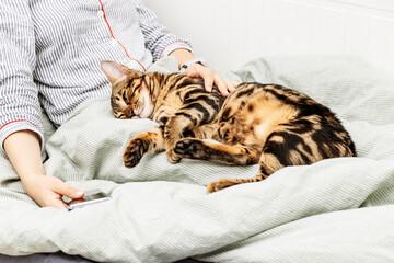Woman at home holding her lovely Bengal cat. Pet in hands of hostess.