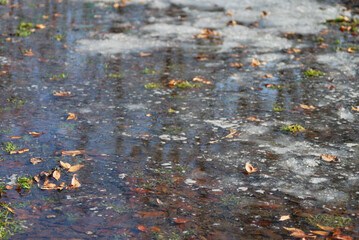 水たまり　雪　冬　枯れ葉