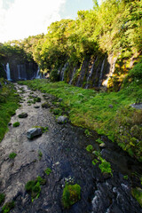 Fototapeta na wymiar 富士山の湧き水が流れる白糸の滝