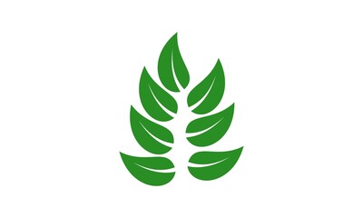 nature leaf icon