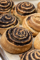 puff pastry with poppy seeds on a plate. close up view. various of a tasty pastry. homemade baking concept. background backdrop. studio shot