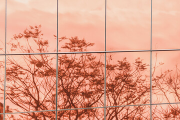 Tree reflex