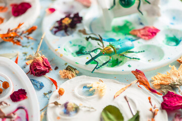 Art botany header with watercolor palettes, beetle, leaves and petals, nature and art concept