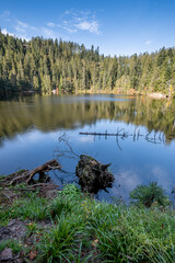 Vertical shot of a lake surrounded by greenery in Glaswaldsee, Black Forest, Germany