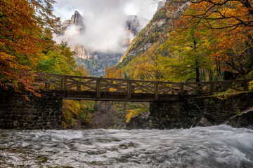 A bridge accross running streams with Beutiful autumn forest in Ordesa National park, Spain