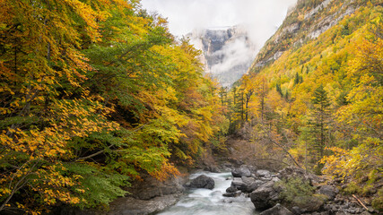 Beutiful yellow forest in autumn Valley and Mount Perdido in cloudy sky, Ordesa National park, Spain