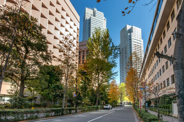 Fototapeta na wymiar 東京都中央区の聖ルカ通り