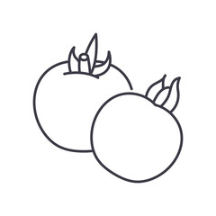 Tomatos icon, linear isolated illustration, thin line vector, web design sign, outline concept symbol with editable stroke on white background.