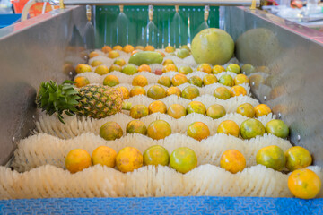 The process of washing and cleaning of citrus fruits in a modern production line