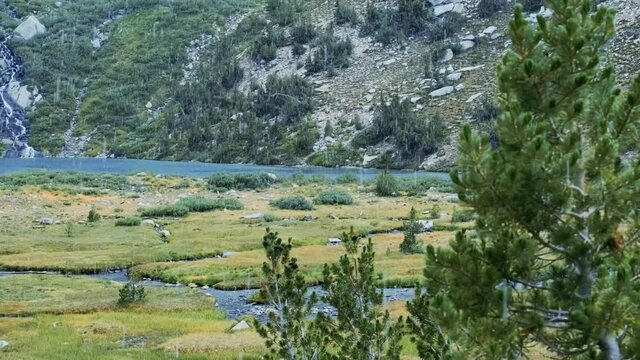 Beautiful lush green meadow in California with creeks and waterfalls during a hail storm (60 fps slowed to 30 fps)