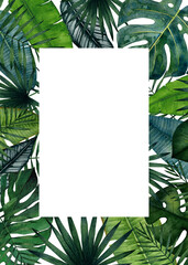 Frame with tropical leaves; monstera, palm, banana, saw palmetto, calathea. Watercolor illustration isolated on white background.