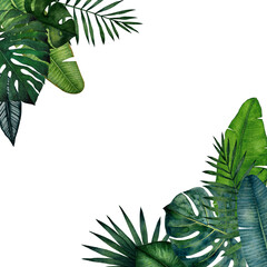Frame with tropical leaves; monstera, palm, banana, saw palmetto, calathea. Watercolor illustration isolated on white background.