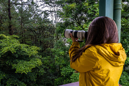 Beautiful photographer taking pictures on the forest with a nice yellow jacket 