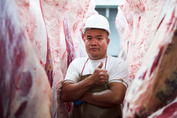 A professional butcher in the factory's cold storage with the carcass of Japanese Wagyu beef in the...