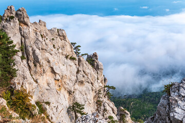High stone rock in the dense fog. Heavy fog in the mountains on a cloudy day.