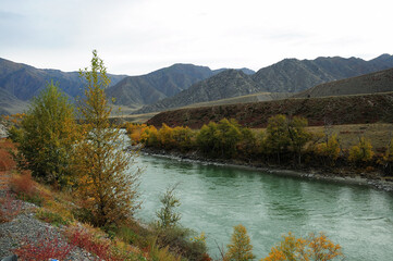 A beautiful turquoise river bending flows through an autumn valley at the foot of high mountains.