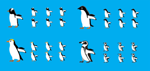 Animal Animation Sequence Chinstrap Adelie Royal Penguin Cartoon Vector