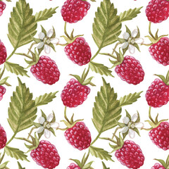 Seamless pattern with 
raspberry berry. Watercolor illustration. The print is used for Wallpaper design, fabric, textile, packaging.