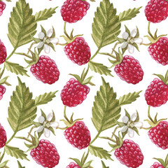 Seamless pattern with 
raspberry berry. Watercolor illustration. The print is used for Wallpaper design, fabric, textile, packaging.