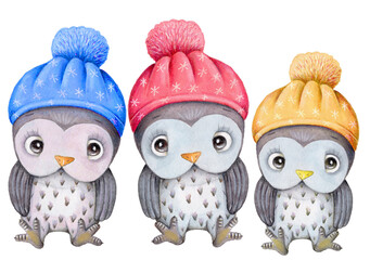 New Year Christmas illustration of 3 cute cartoon little owls, forest birds. Watercolor hand drawn artwork, isolated on white background.