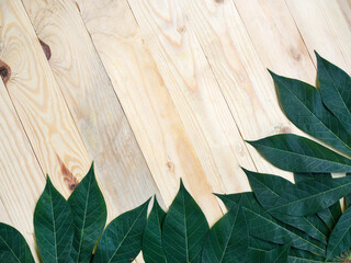 Cassava green leaf on wood background, copy space