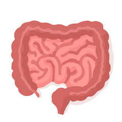 Human intestine; Hand drawn vector illustration like woodblock print