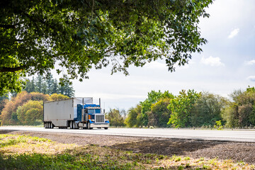 Blue classic big rig semi truck with vertical pipes and horns on the roof transporting cargo in covered bulk semi trailer running on the flat highway road with green trees