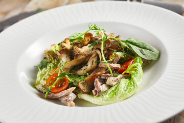 Oyster mushrooms and meat salad plate