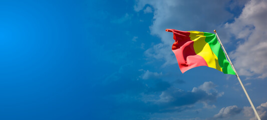 Mali national flag with blank text space on wide background.