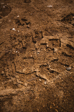 Shoe print in the dirt