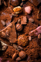 Variation of chocolate and candy with cocoa and cocoa beans as background