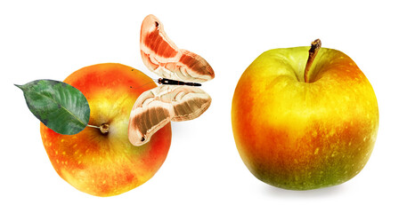 Color apples on white background