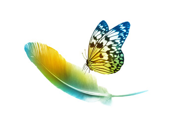Beautiful color feather and butterfly isolated on white background