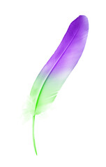 Beautiful color feather isolated on white background