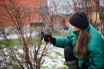 Caucasian beautiful woman gardener prunes branches with pruning shears, winter pruning of plants,...