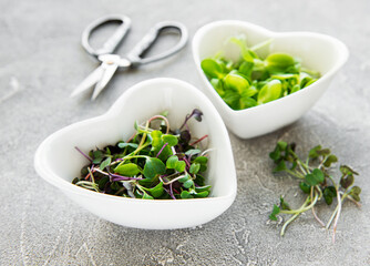 Assortment of micro greens at concrete background,  top view. Healthy lifestyle