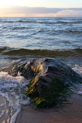 A covered stone on the shores of the Baltic Sea.
