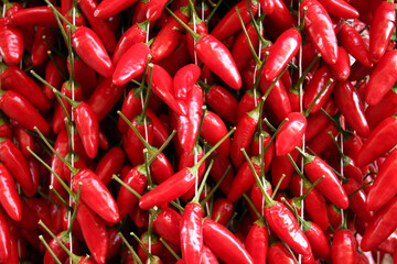 Closeup shot of red chili peppers bind together