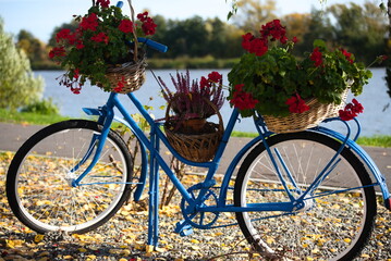 A flower bed made of a bicycle.
