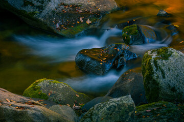 中国四川巴中南江光雾山红叶