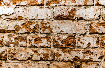 cypress wall texture pattern red cypress blocks, close-up, old dilapidated wall.