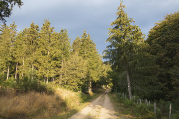 Fototapeta na wymiar Sur le chemin de Compostelle, la traversée sur le chemin de la via Podiensis, les paysages du parc Régional de l'Aubrac dans le Massif Central.