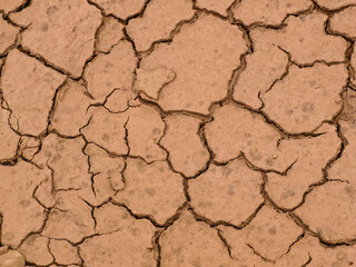 dry cracked earth